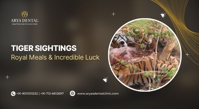 Tiger Sightings Royal Meals And Incredible Luck
